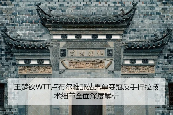 wang-chu-qin-lu-bu-er-ya-na-zhan-nan-dan-duo-guan-fan-shou-ning-la-ji-shu-xi-jie-quan-mian-shen-du-jie-xi-2-215.jpg